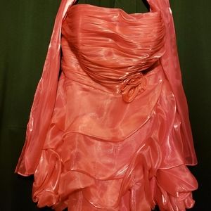 Homecoming/quinceanera dress